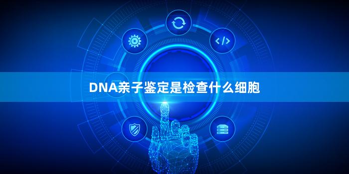 DNA亲子鉴定是检查什么细胞