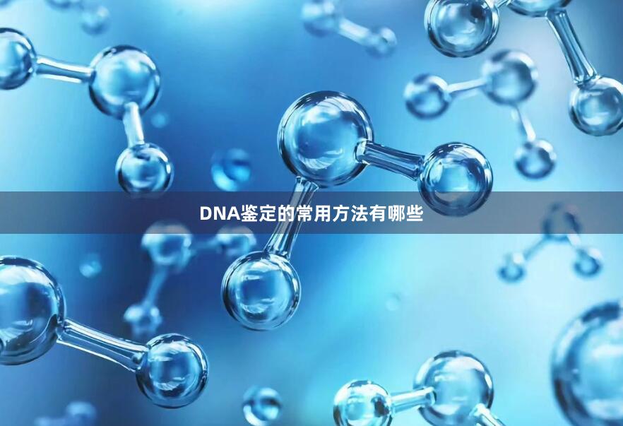 DNA鉴定的常用方法有哪些