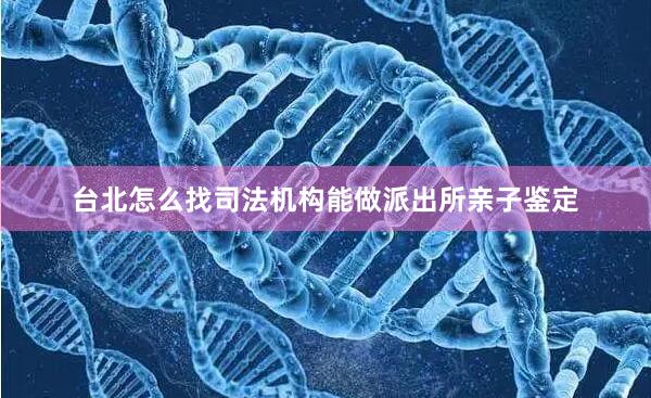 台北怎么找司法机构能做派出所亲子鉴定