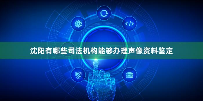 沈阳有哪些司法机构能够办理声像资料鉴定