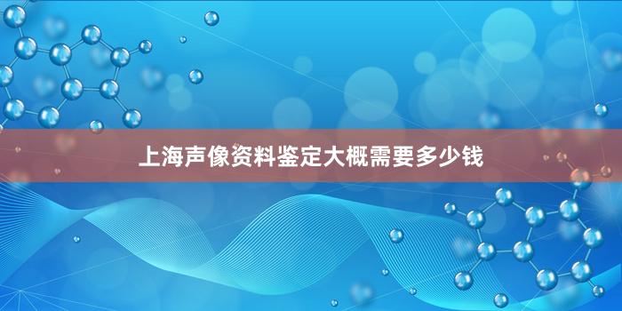 上海声像资料鉴定大概需要多少钱