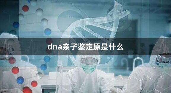 dna亲子鉴定原是什么