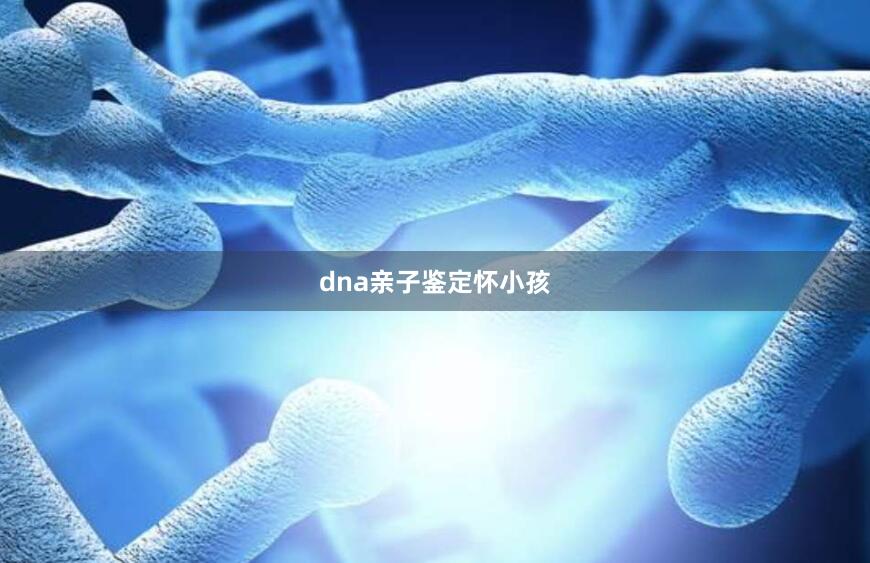 dna亲子鉴定怀小孩