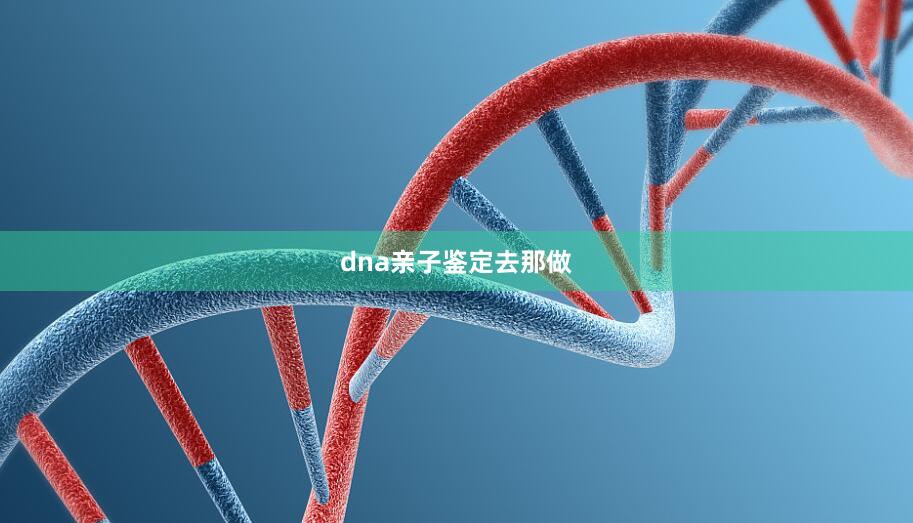 dna亲子鉴定去那做