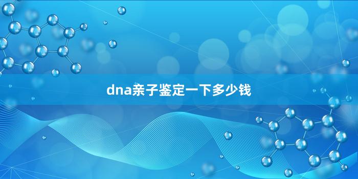 dna亲子鉴定一下多少钱