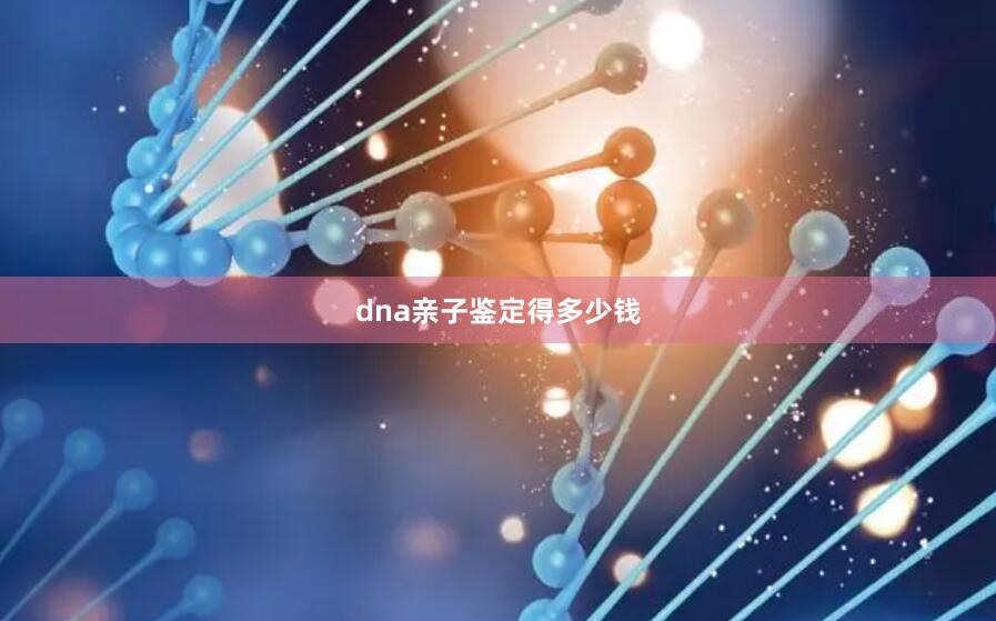 dna亲子鉴定得多少钱