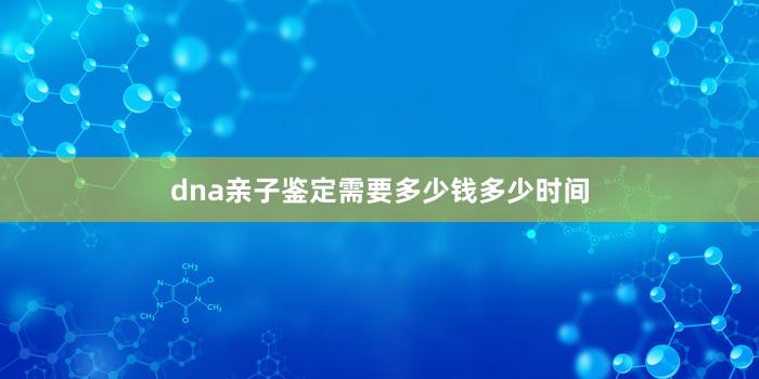 dna亲子鉴定需要多少钱多少时间