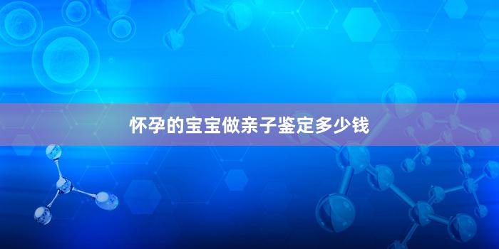 怀孕的宝宝做亲子鉴定多少钱