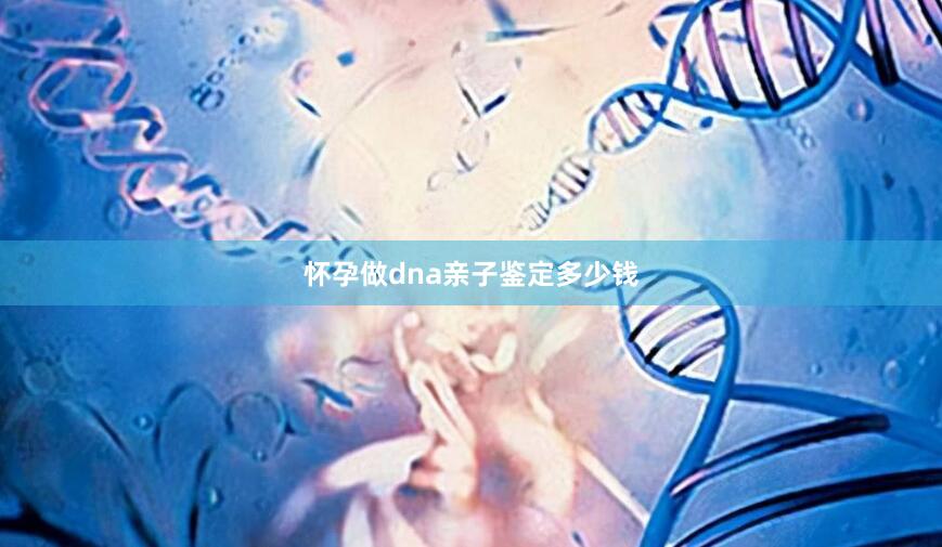 怀孕做dna亲子鉴定多少钱