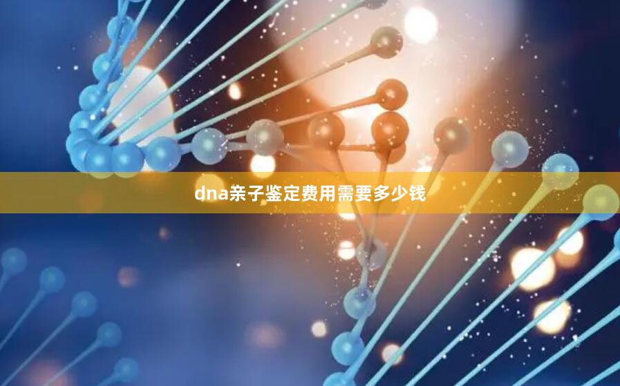 dna亲子鉴定费用需要多少钱