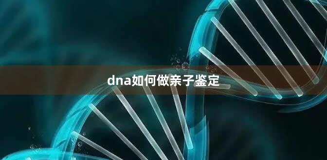 dna如何做亲子鉴定