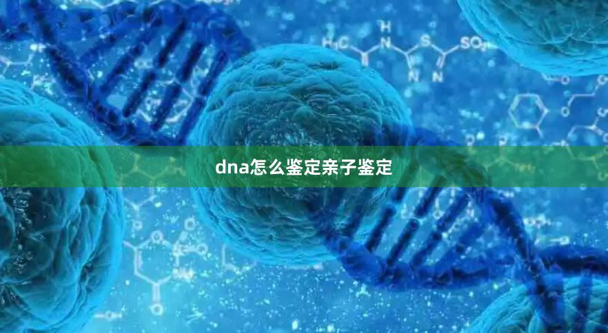 dna怎么鉴定亲子鉴定