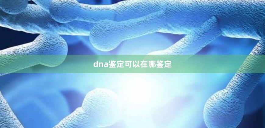 dna鉴定可以在哪鉴定