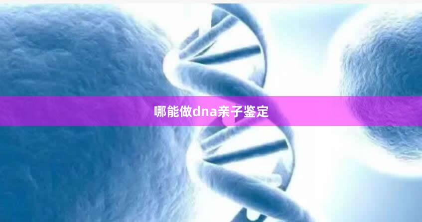 哪能做dna亲子鉴定