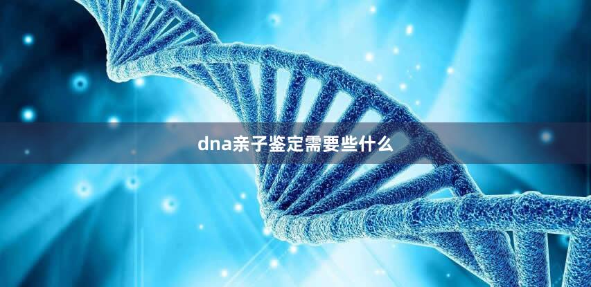 dna亲子鉴定需要些什么