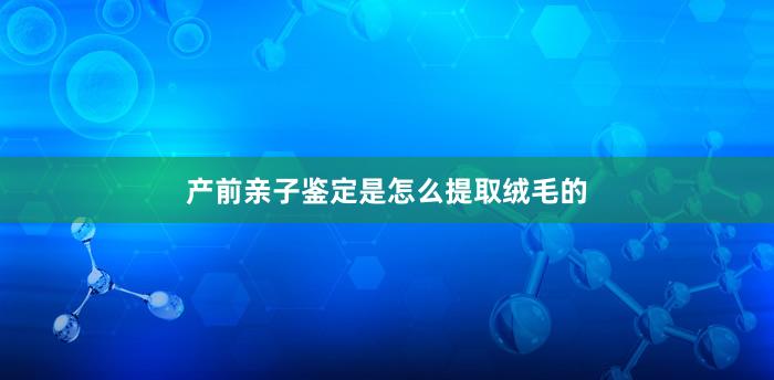 产前亲子鉴定是怎么提取绒毛的