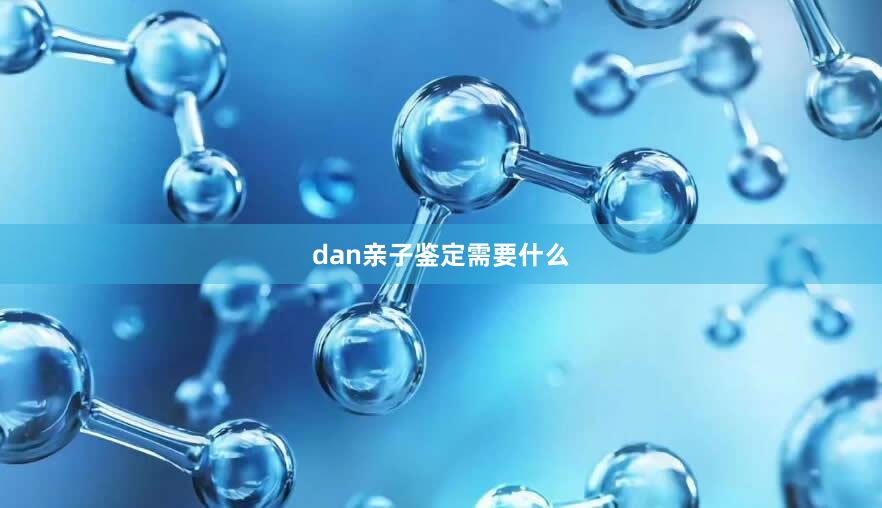 dan亲子鉴定需要什么