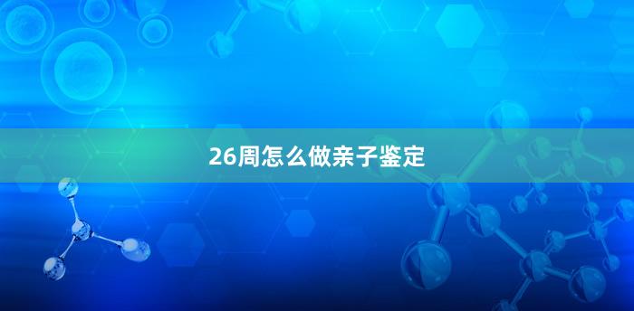 26周怎么做亲子鉴定