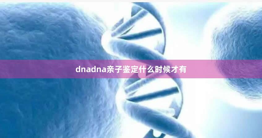 dnadna亲子鉴定什么时候才有