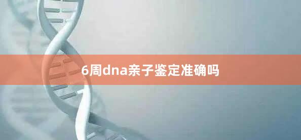 6周dna亲子鉴定准确吗