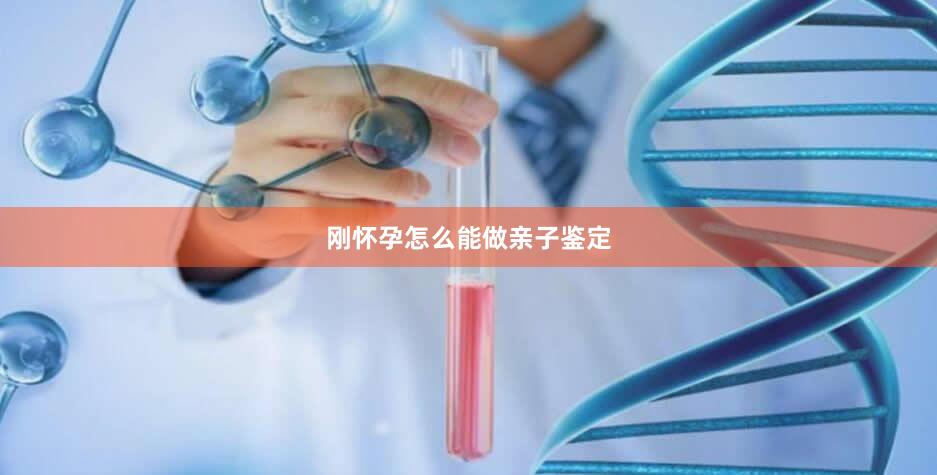 刚怀孕怎么能做亲子鉴定