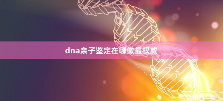 dna亲子鉴定在哪做最权威