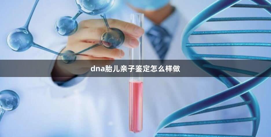 dna胎儿亲子鉴定怎么样做