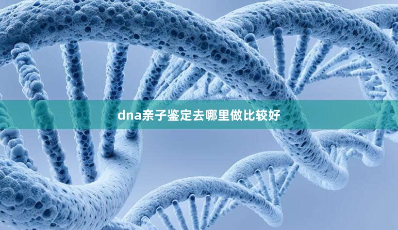 dna亲子鉴定去哪里做比较好