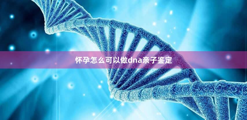 怀孕怎么可以做dna亲子鉴定