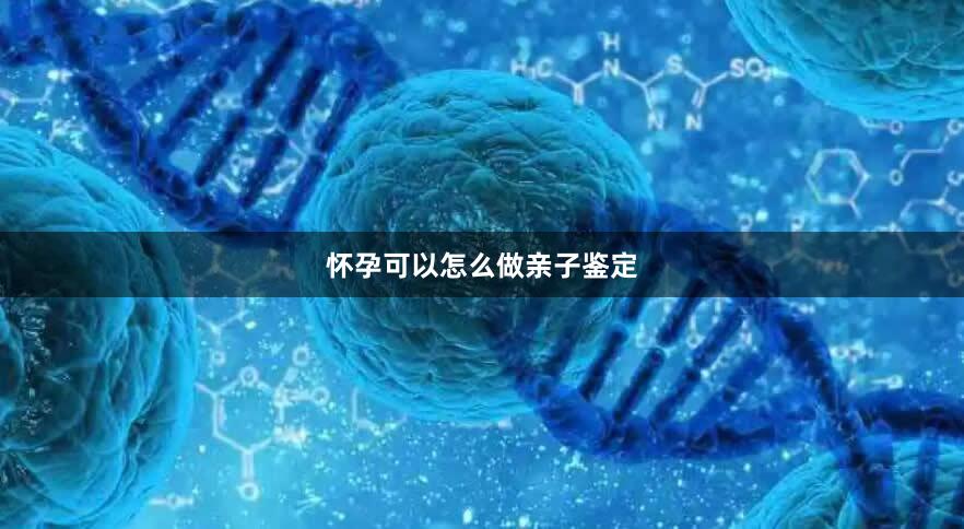 怀孕可以怎么做亲子鉴定