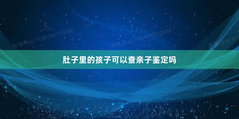 肚子里的孩子可以查亲子鉴定吗