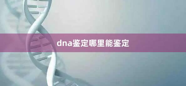 dna鉴定哪里能鉴定