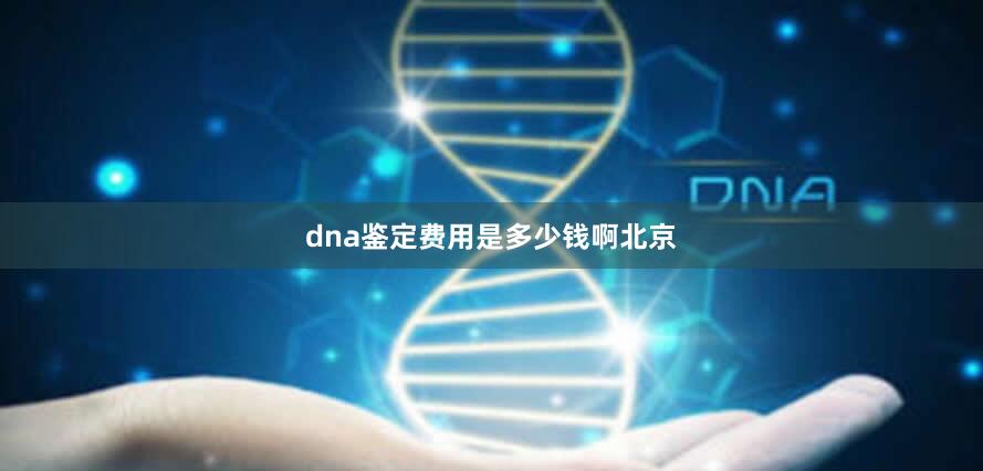 dna鉴定费用是多少钱啊北京