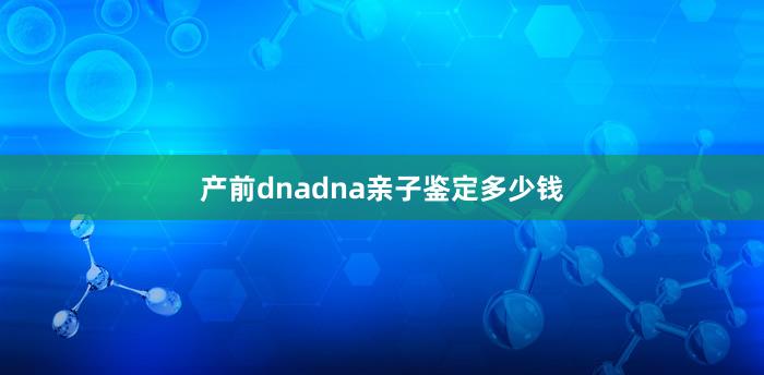 产前dnadna亲子鉴定多少钱