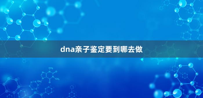 dna亲子鉴定要到哪去做