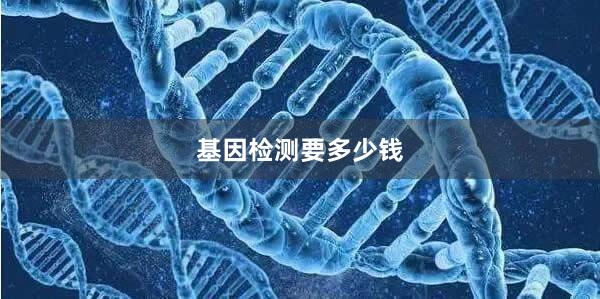 基因检测要多少钱