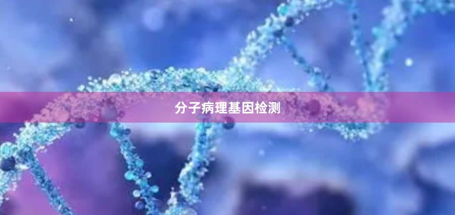 分子病理基因检测