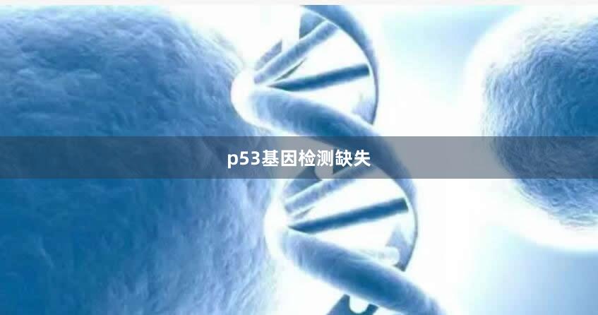 p53基因检测缺失