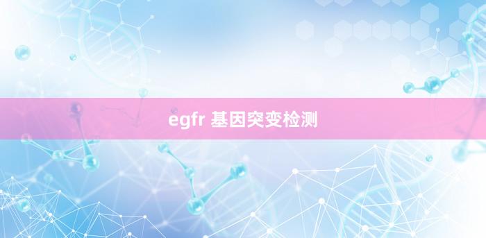 egfr 基因突变检测