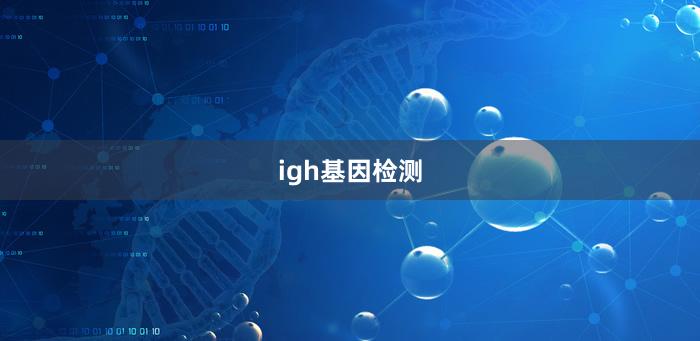 igh基因检测