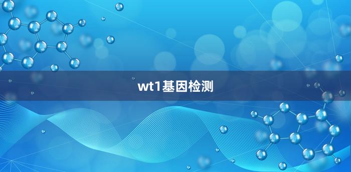 wt1基因检测