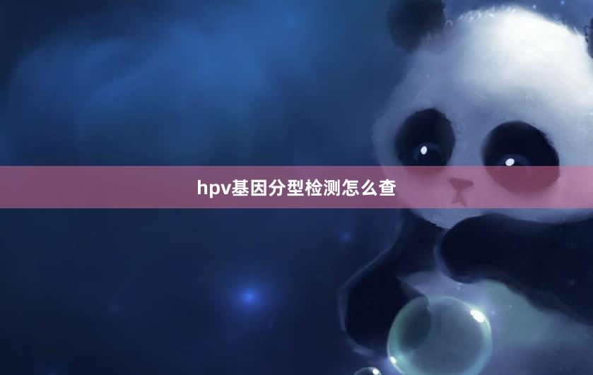 hpv基因分型检测怎么查