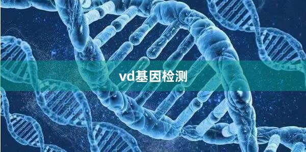 vd基因检测