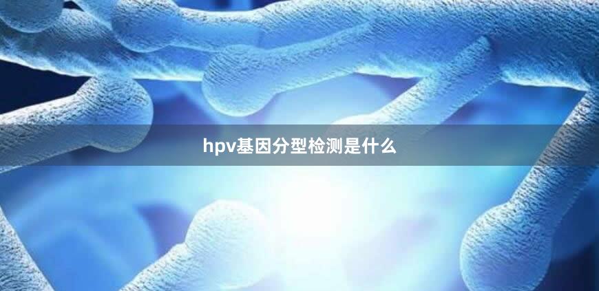 hpv基因分型检测是什么