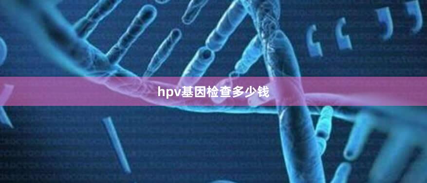 hpv基因检查多少钱