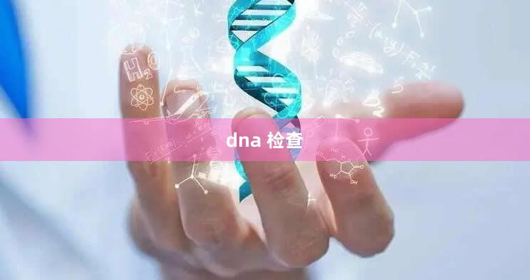 dna 检查