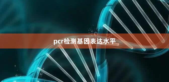 pcr检测基因表达水平