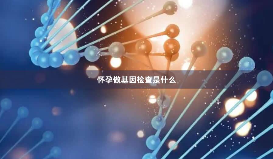 怀孕做基因检查是什么