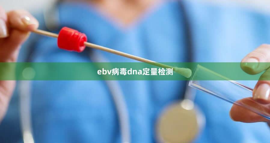 ebv病毒dna定量检测