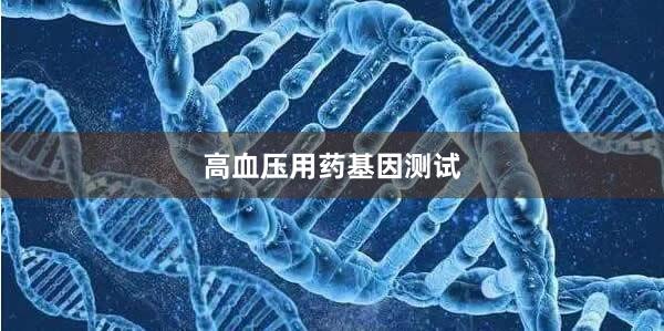 高血压用药基因测试